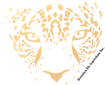 Botanica Ifa Amotekun Inc 